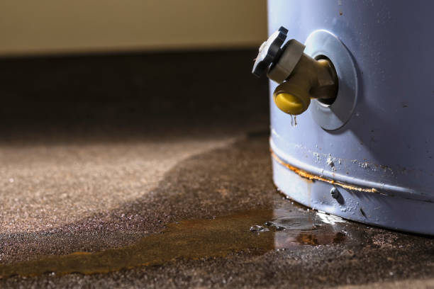 Best Sewage cleanup and water damage restoration  in Mckee City, NJ