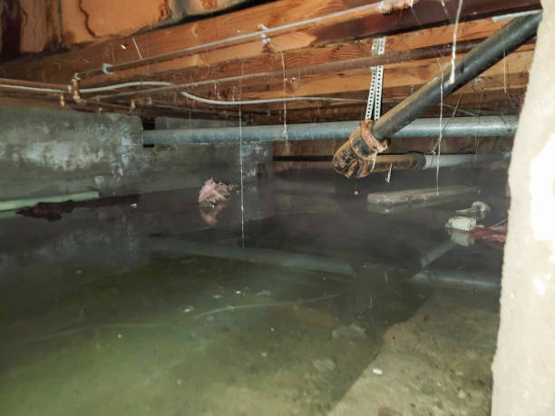 Sewage cleanup and water damage restoration in NJ