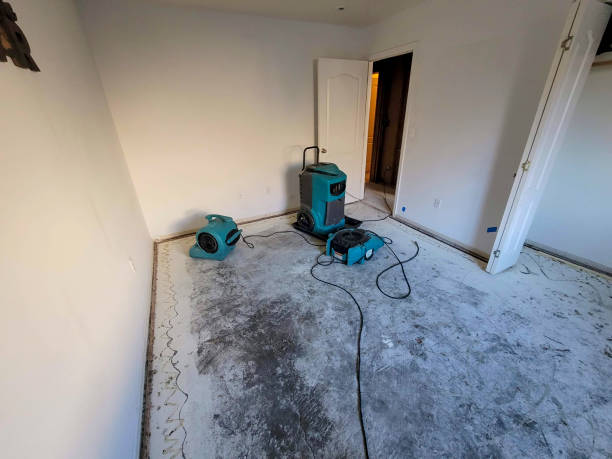 Best Ceiling water damage repair  in Mckee City, NJ
