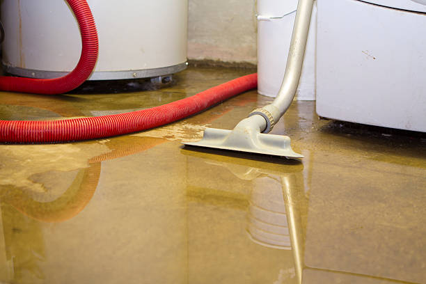 Best Water damage restoration near me  in Mckee City, NJ