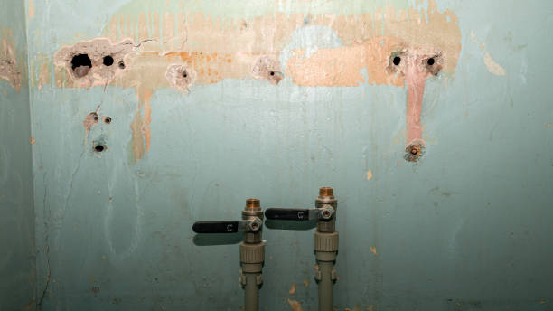 Best 24/7 water damage repair  in Mckee City, NJ