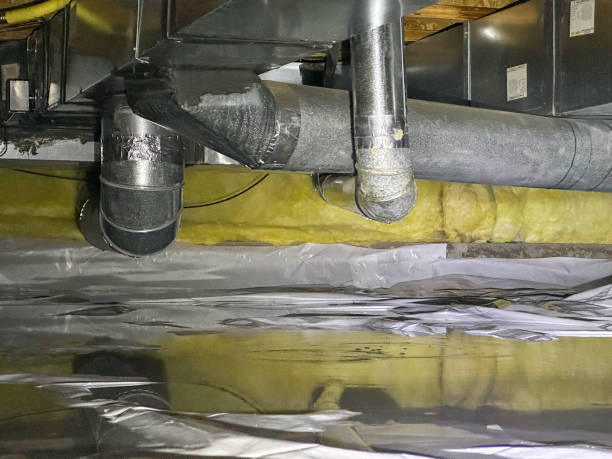 Best Water damage contractors near me  in Mckee City, NJ