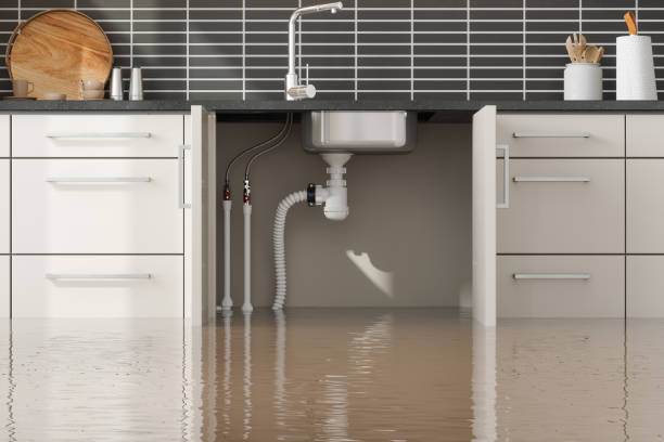 Best Emergency water extraction  in Mckee City, NJ