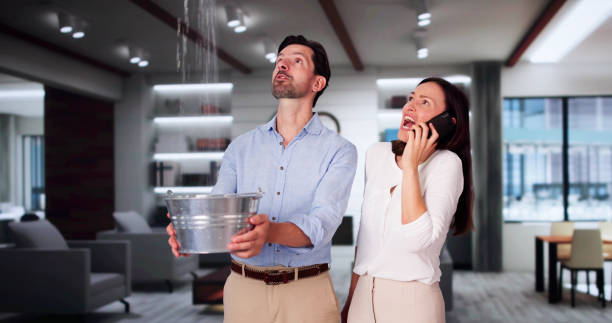 Best Mold removal after water damage  in Mckee City, NJ