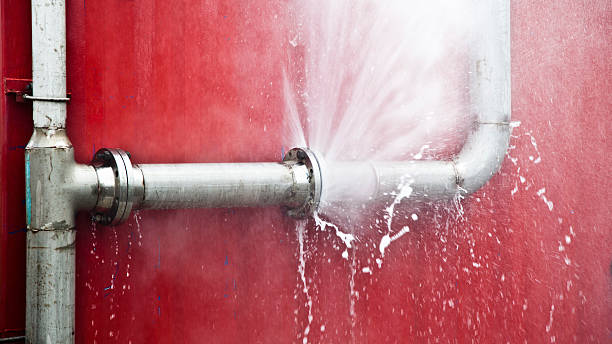 Best Sewage cleanup and water damage restoration  in Mckee City, NJ